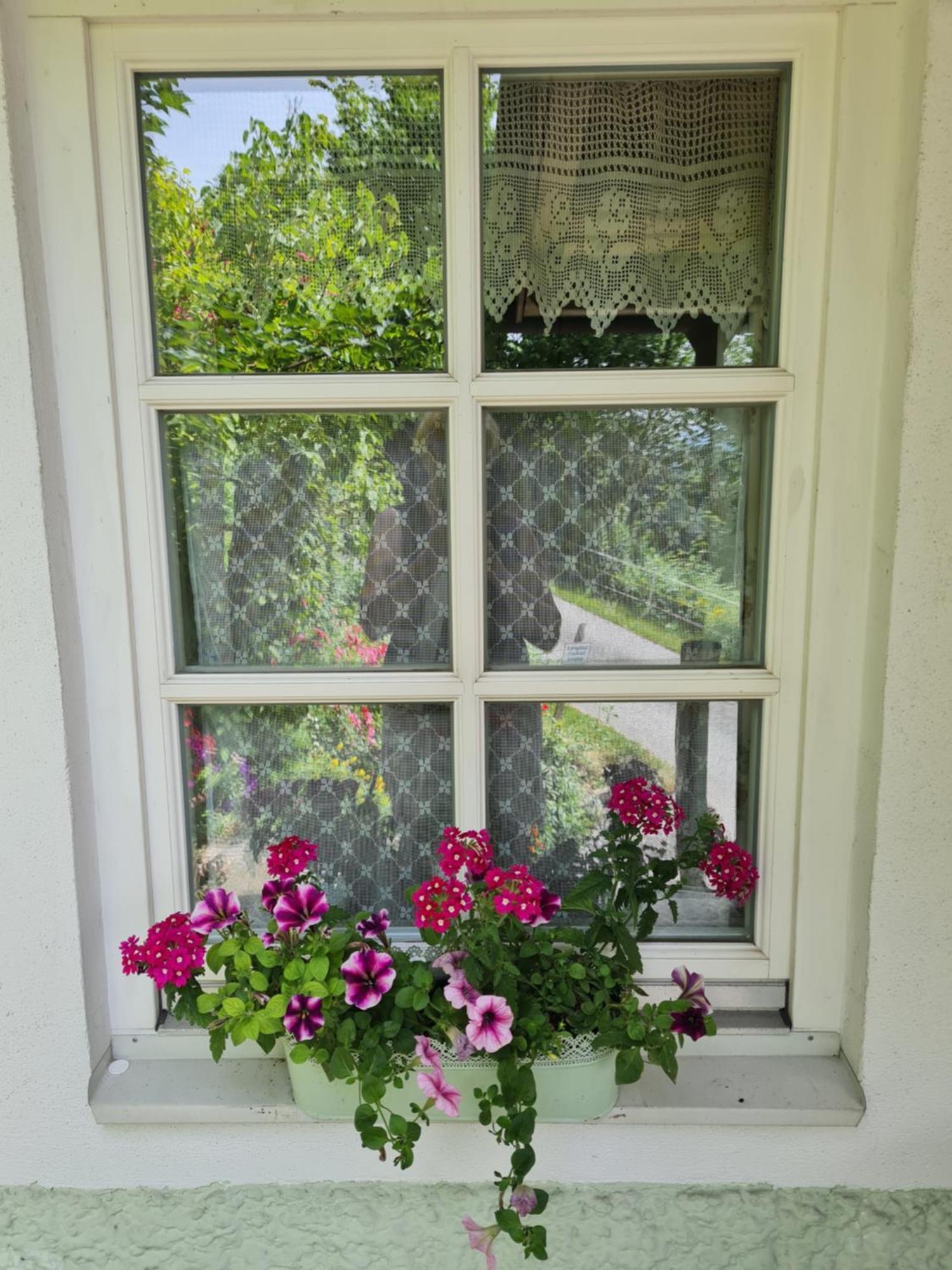 Ferienhaus Forsthof Taxenbach Kamer foto